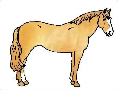 Quelle est cette robe ?