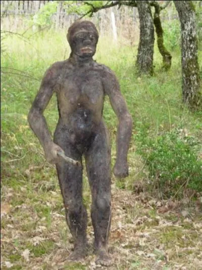 Qui sont les plus lointains anctres de l'homme apparus il y a 4 millions d'annes ?