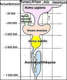 L'homme actuel : l'homo --------, est apparu il y a 200 000 ans.