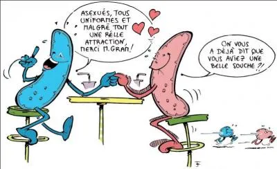 Les bactries apparurent et se dvelopprent. Que possdent-elles, essentiel  la vie ?