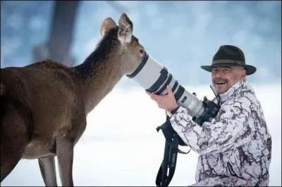 Trouvez l'expression populaire !