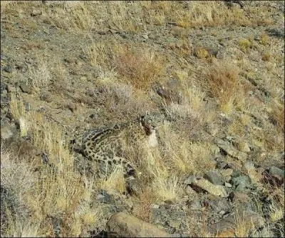 Que voyez-vous sur la photo ?