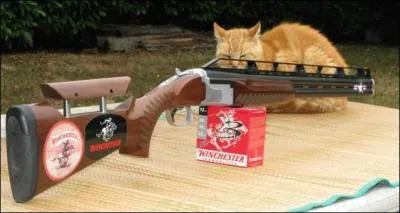 Quel sport pratiquez-vous avec ce matriel ?