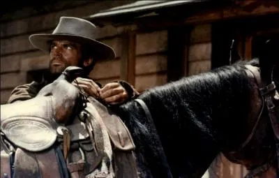 Une autre trilogie se termine en 1969. Giuseppe Colizzi ralise  Trinita va tout casser  toujours avec Terence Hill et Bud Spencer. Ce western a lui aussi t rebaptis car le personnage de Trinita n'apparait pour la premire fois qu'en 1970. Quel tait donc le titre original du western ?