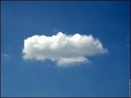 Comment s'appellent les Pokmon dots d'ailes en forme de nuage ?