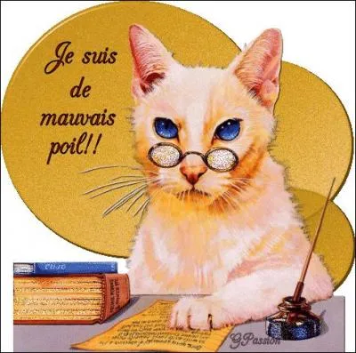 Si par hasard j'ai fait une petite faute de frappe, je me mfie des remarques d'Aggie car ...