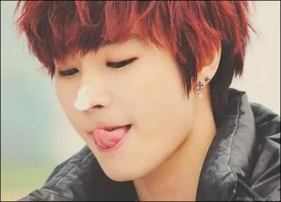 Qui est ce chanteur ?