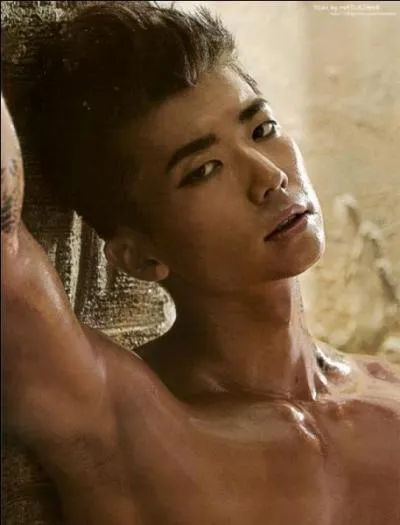 Qui est ce chanteur ?