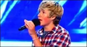 Quelle chanson a chant Niall aux auditions de l'mission X Factor ?