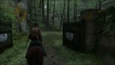 Pourquoi Ellie s'enfuie-t-elle  un moment du jeu ?