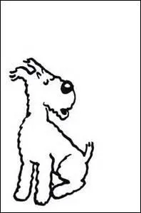 Comment s'appelle le chien de Tintin ?