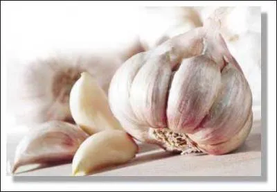 Quelle est la substance trs odorante libre quand on coupe une gousse d'ail ?