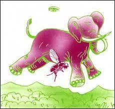 Tu fais d'une mouche un lphant, c'est--dire tu ...