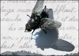 Ton criture maladroite et pleine de ratures est difficilement lisible, tu cris en ...