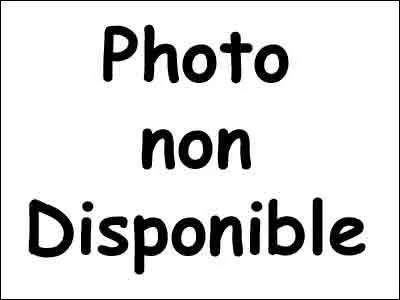 A qui appartient le sabre  Kokuto Yoru  ?