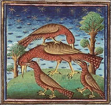 Qu'est-ce qui ne fait pas partie des mcanismes linguistiques mis en uvre dans la langue des oiseaux ?