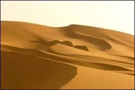 Quel dsert occupe le quart de la Tunisie ?