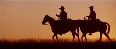 En 1992, Clint Eastwood ralise son quatrime et dernier western avec  Impitoyable . Quel est le point commun entre  Danse avec les loups  et  Impitoyable  ?