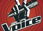 Quiz The Voice