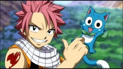 Le nom du hros de Fairy Tail est :