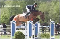 Quel est le record de saut en hauteur d'un cheval ?