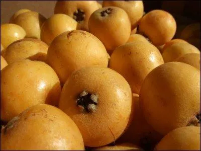 Ce fruit jaune s'appelle :