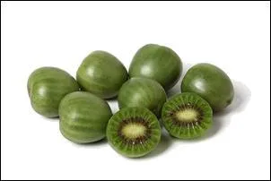 Ce fruit ressemble beaucoup � un kiwi, c'est normal c'est un :