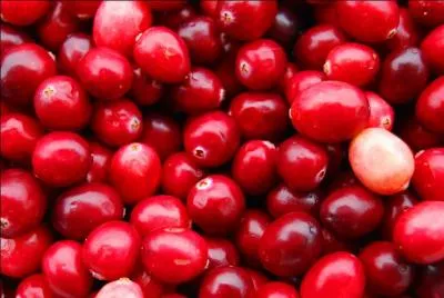 Comment s'appelle ce fruit ?