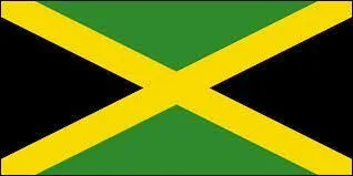 Ce drapeau appartient  quel pays ?