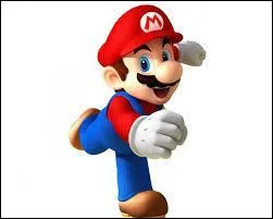 Cette posture de Mario est sur la bote d'un jeu DS, lequel ?