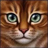 On m'a tu(e) pour devenir lieutenant ; qui suis-je ?