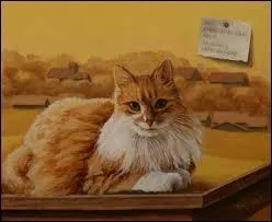 Les chats de la tribu de l'Eau Vive ont trs peur de moi ; qui suis-je ?