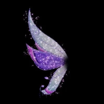 A quelle Winx appartiennent ces ailes ?