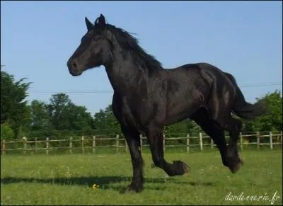 Quelle est cette robe ?