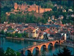 Nous allons visiter la ville d'Heidelberg. Dans quel pays serons-nous ?