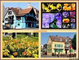 Voici diffrentes vues de la ville de Schiltigheim. Cette ville se situe ...