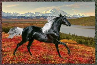 Quelle est cette allure ?