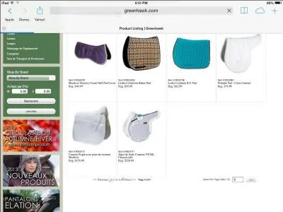 Quel est l'objet en bleu ?