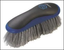 Quelle est cette brosse ?