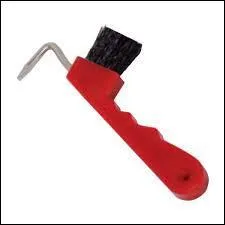 Quelle est cette brosse ?