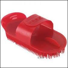 Quiz Brosses