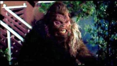 Quoi de plus reposant que de vivre sa convalescence calmement, en montagne, dans les bois ? Enfin, c'est ce qui tait prvu au dpart !