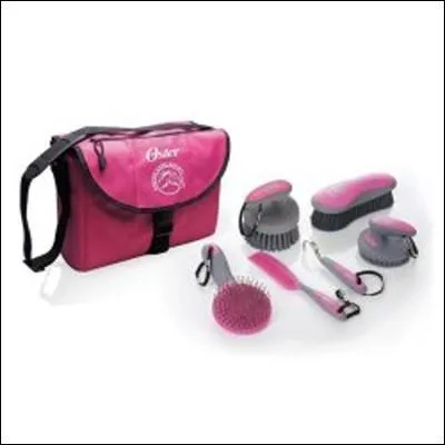 Quelle est la premire brosse  prendre pour le pansage ?