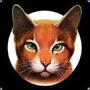 Dans le tome 2, qui est la soeur de Coeur de Feu ?