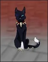 Dans le tome 6, quel terrible clan le clan du Tonnerre doit-il combattre ?