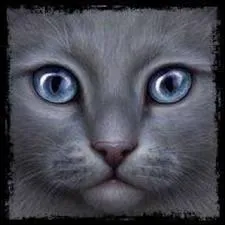 Dans quel tome toile Bleue meurt-elle ?