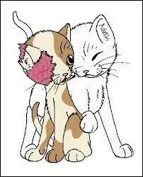 Dans les tomes 5 et 6, qui entrane Sans Visage, la guerrire dfigure du Clan du Tonnerre ?