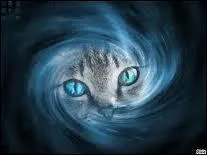 Dns le tome 3, de qui Plume Grise est-il amoureux ?