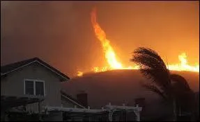 Dans le tome 4, qui ravage le Clan du Tonnerre ?