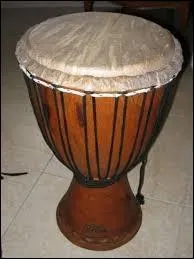 De quelle famille cet instrument fait-il partie ?